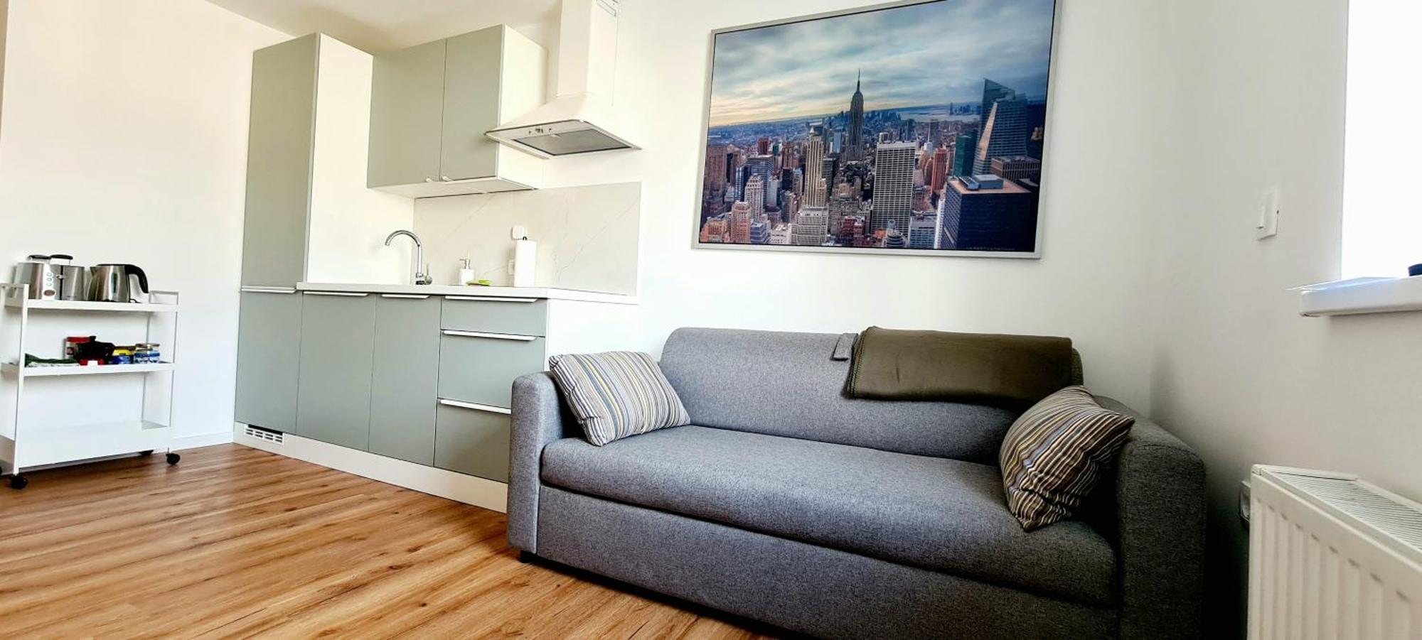Little Plaza Duplex Apartment Ljubljana Ngoại thất bức ảnh